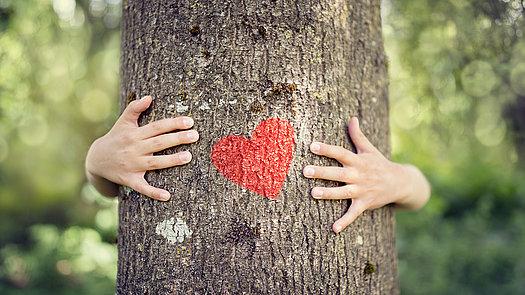 Nachhaltigkeit ernst meinen – und glaubwürdig kommunizieren