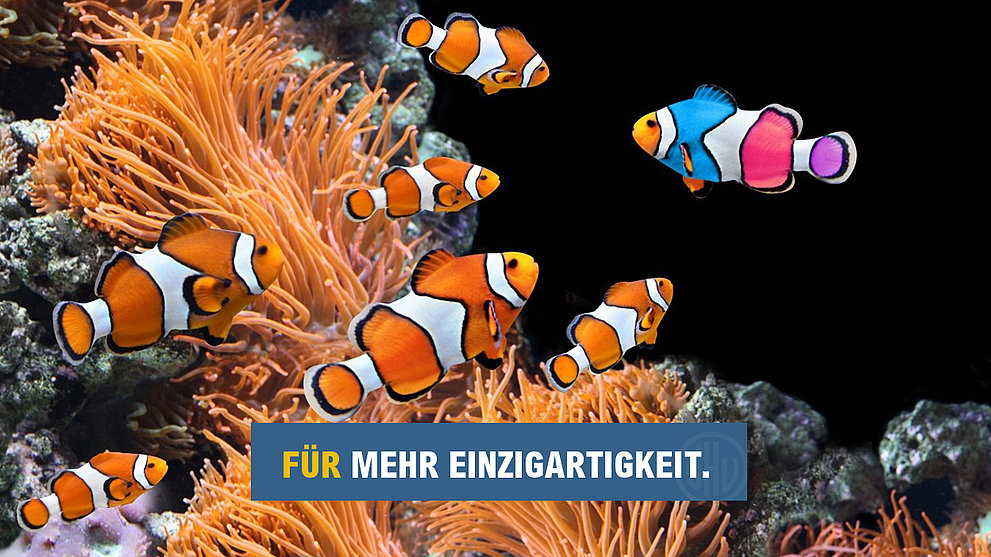 Praktikerseminar "Strategische Markenentwicklung – Einzigartigkeit erlebbar machen"