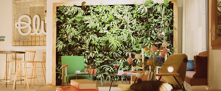 be green im BLÜ - der "Klimateller" in Bad Hofgastein