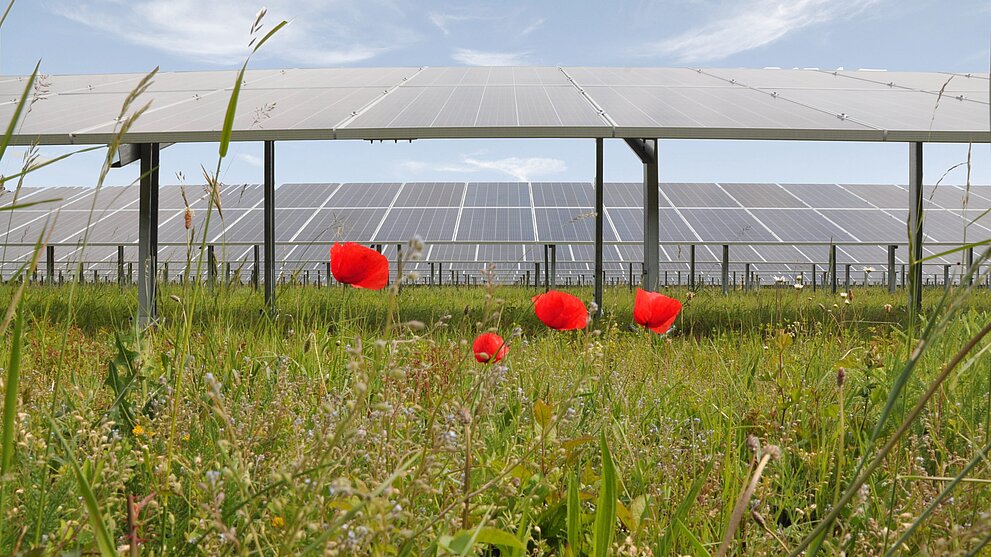 Innovative Photovoltaikkonzepte