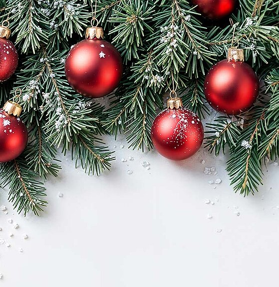 Frohe Weihnachten & einen schwungvollen Start ins neue Jahr!