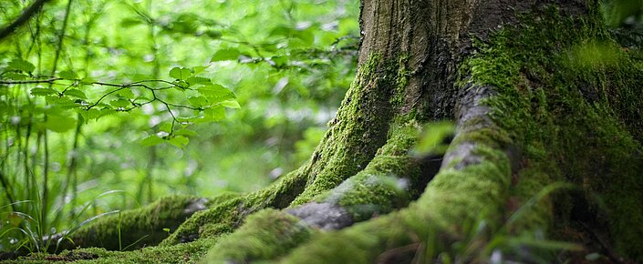Resilienz in herausfordernden Zeiten