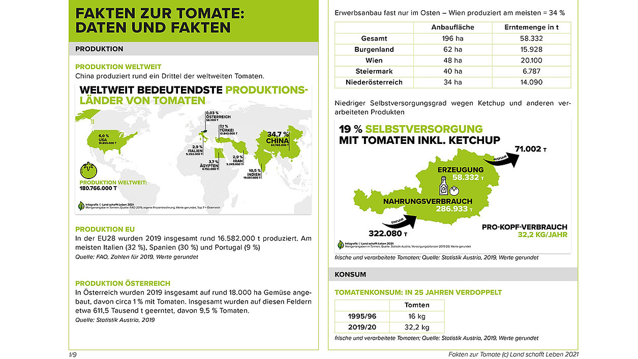 Daten & Fakten zur Tomate