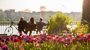 Im Vordergrund Blumen, dahinter drei Leute auf einer Bank 