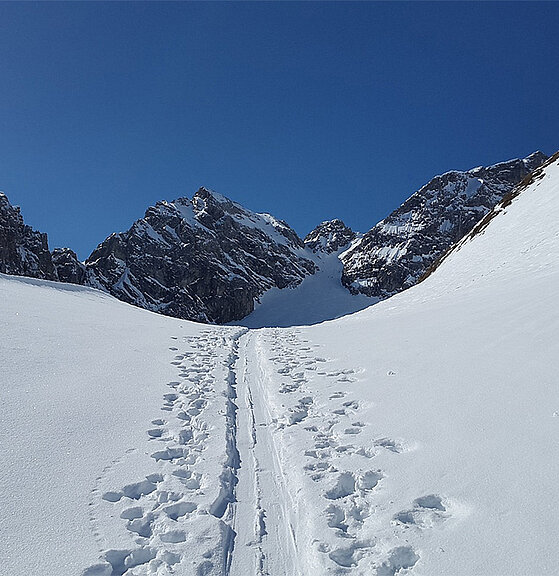 Gesamtresümee Winter 2025/2026: Starker Polster, aber das zähe Frühjahr bremst die Bilanz
