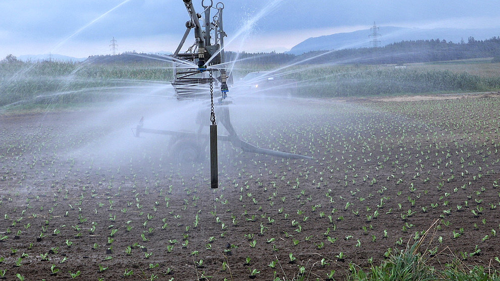 Blau, Grau, Grün: Was es mit virtuellem Wasser auf sich hat