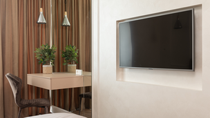 Man sieht eine Ecke von einem Hotelzimmer, wo ein Fernseher an der Wand hängt und daneben steht ein kleiner Tisch mit Pflanzen drauf und mit einem kleinen Stuhl dran 