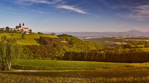 Landschaft mit Bäumen und grünen Wiesen und Kirche