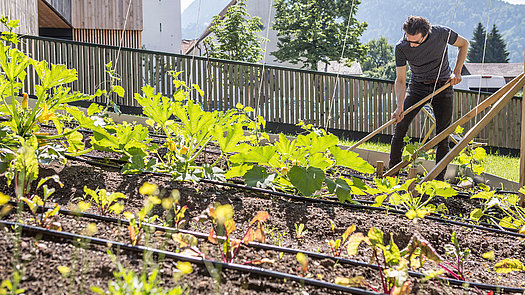 Biohotel Schwanen