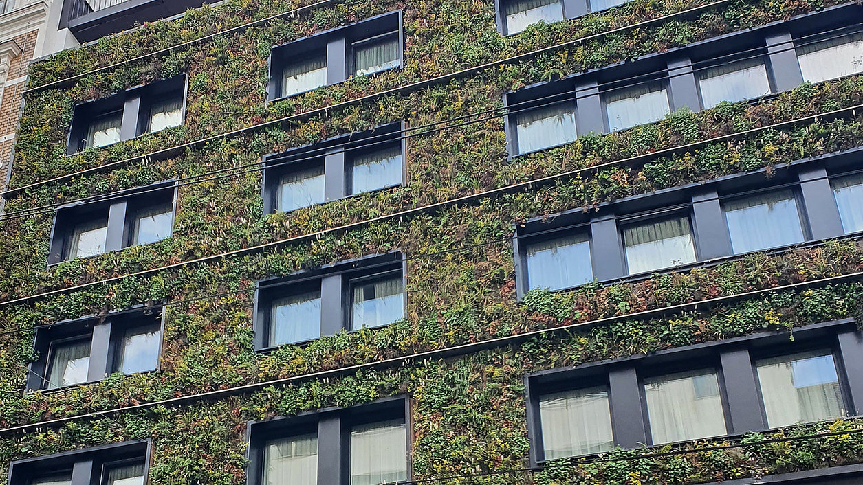 Grüne Fassade des Hotel Gilbert