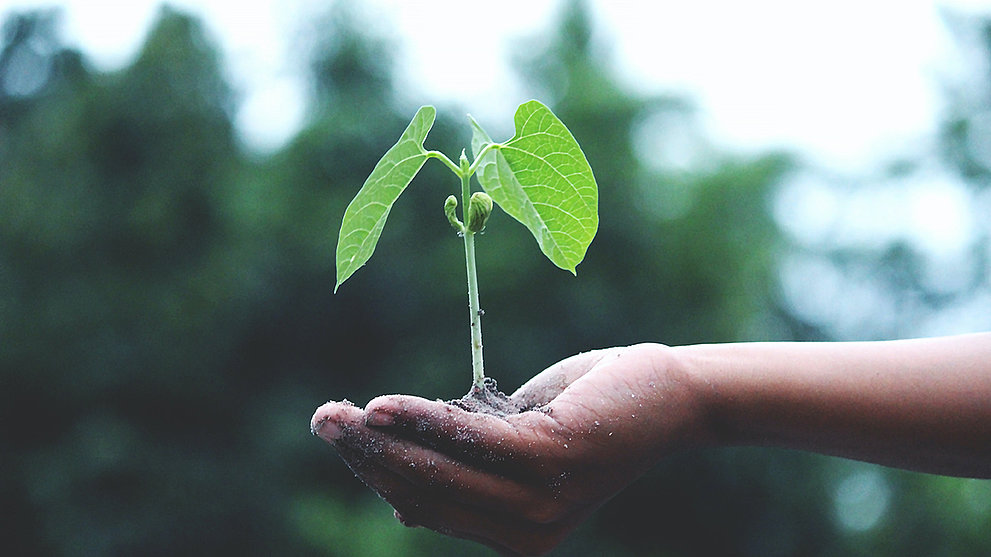 Klimaschutz ist messbar