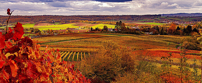 ÖHV-Urlaubsradar: Herbst