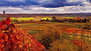 Herbstlandschaft