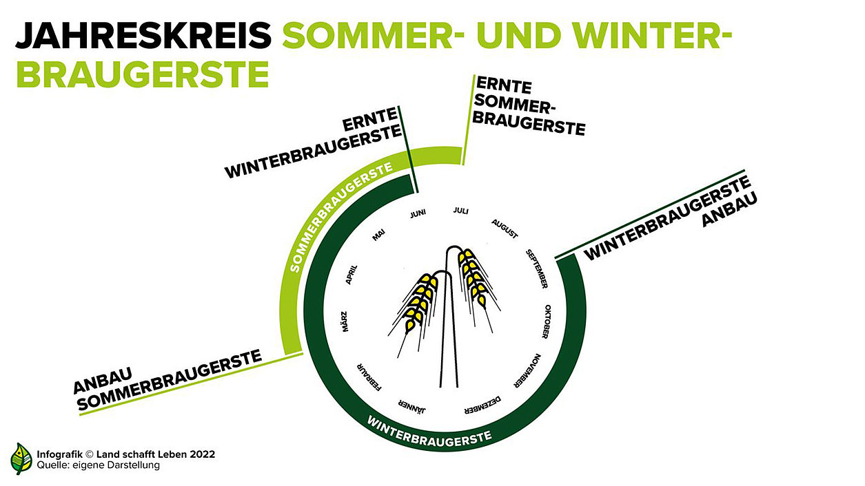 Jahreskreis der Sommer- und Winterbraugerste