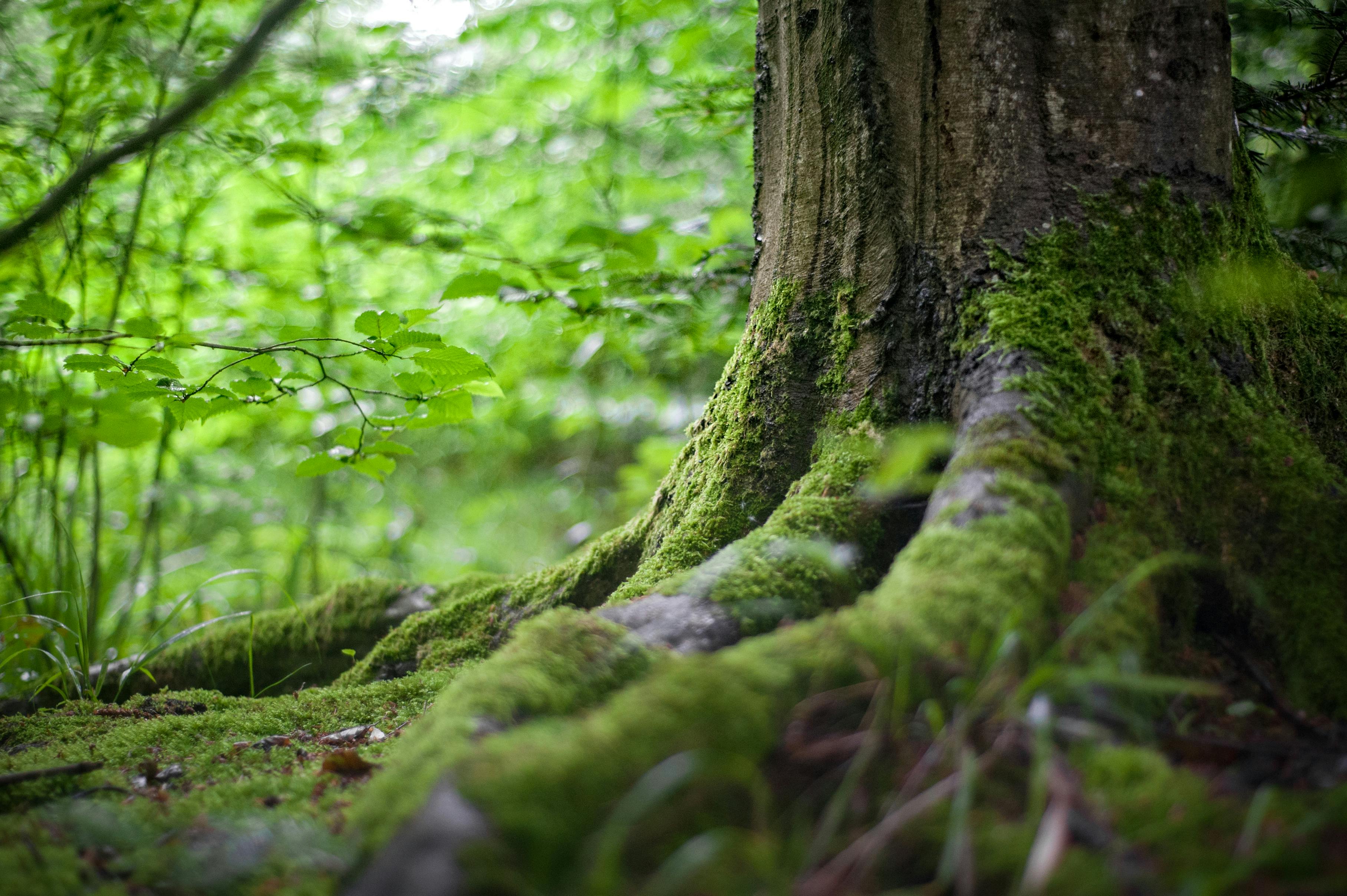 Resilienz in herausfordernden Zeiten